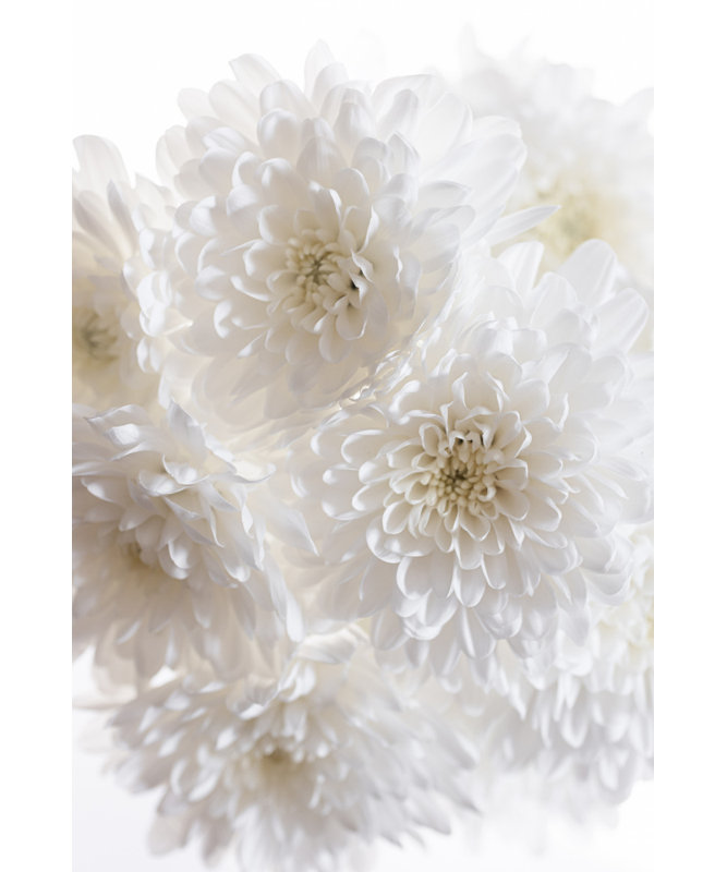Wrapped Canvas Print, 76.2 cm H x 50.8 cm W
