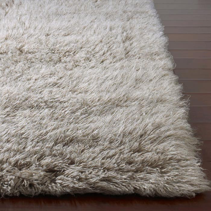 Azra Wool Indoor Rug, Rectangle 3' x 5'