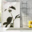 Pivoine 09 sur toile-92588589