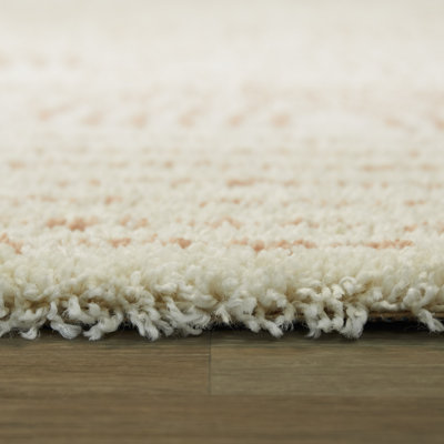 Alec Rainbow Shag Area Rug
