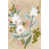 Wrapped Canvas