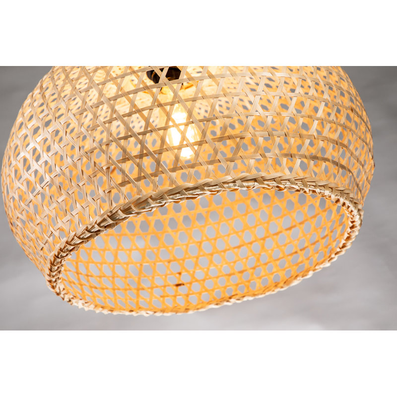 Luminaire suspendu 20 pouces 1 lumière Airy