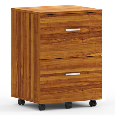 Demetres 2 Drawer Storage Drawer