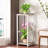 Stephanotis Plant Stand