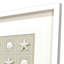 Shell Collection Framed Art