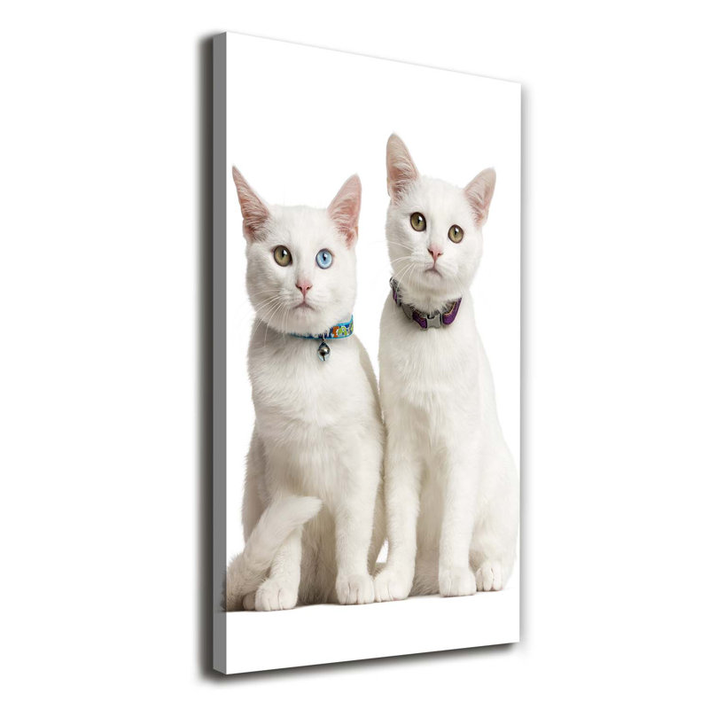 Mare With Foal - Wrapped Canvas Print