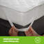 Silentnight Anti Allergy Mattress Protector And 2 Pillows Set-90847963