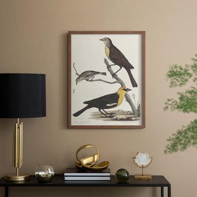 Vintage Animal Print XVIII Framed Print - Solid Wood