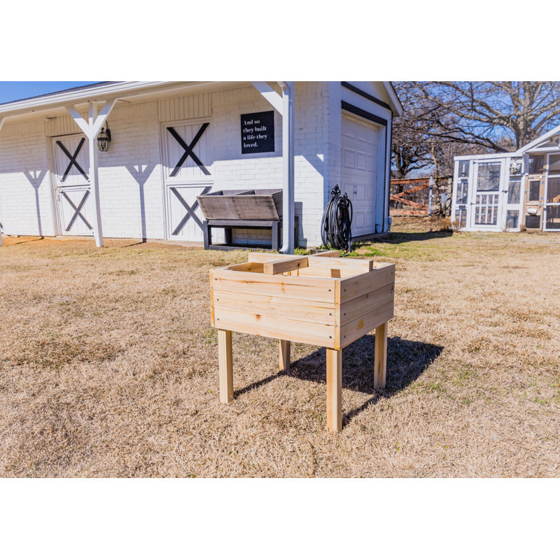 Graylie Wood Elevated Planter