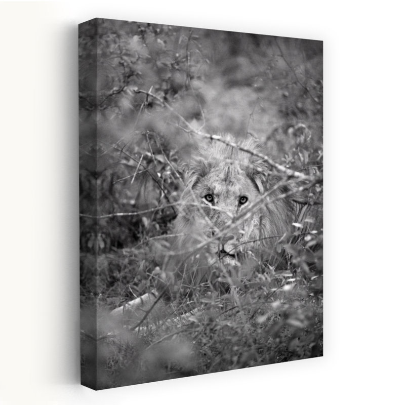Art contemporain Portrait de lion contemporain élégant, H 60 po x l 40 po