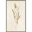 Botanical Study I Gold Crop - Peinture-195985686-195985687