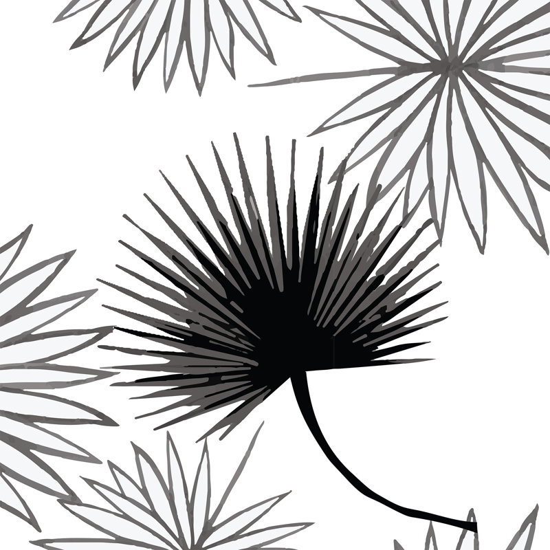 Papier peint autocollant Cabbage Palm, rouleau de 3 m x 61 cm, Blanc, Faux Grasscloth, Non encollé