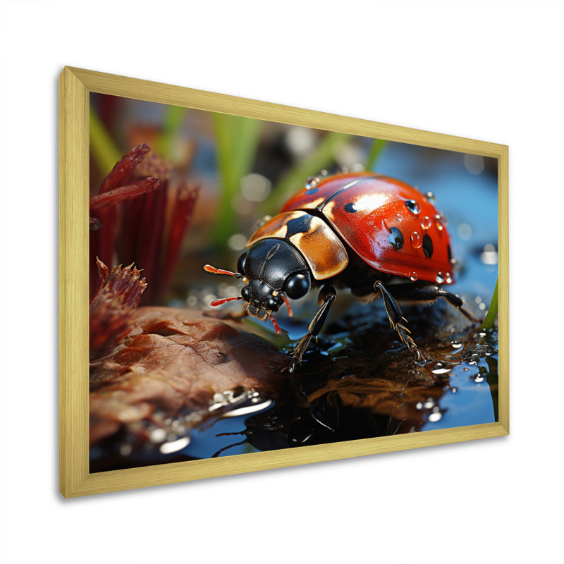 Portrait de coccinelle rouge III sur toile, H 16 po x l 32 po x P 1 po, Cadre doré simple