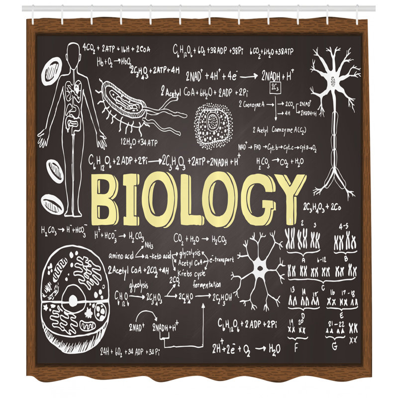 Shower Curtain with Hooks Included, 70" H x 69" W