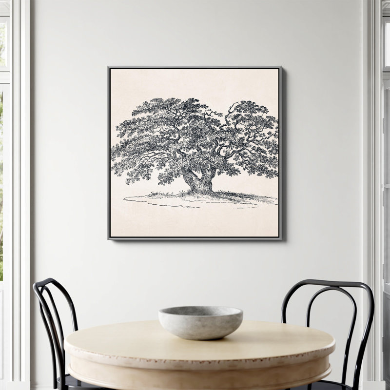 «Wide Oak Tree S Croquis» par Apolo, Non, H 36 po x l 36 po, Toile argentée avec cadre flottant