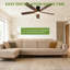 Ceiling Fan-1040058600-1040058581