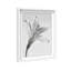 Delicate Spots Framed Graphic Art-1139302473-1139302479