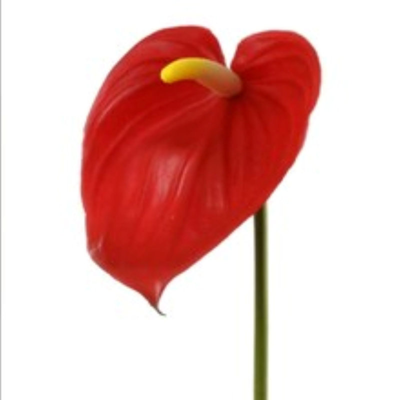 Anthurium rouge 29 po - paquet de 4, fausses fleurs pour arrangements de vases et décorations pour la maison