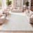 Felicdad Shag Plush White Rug-1803961261