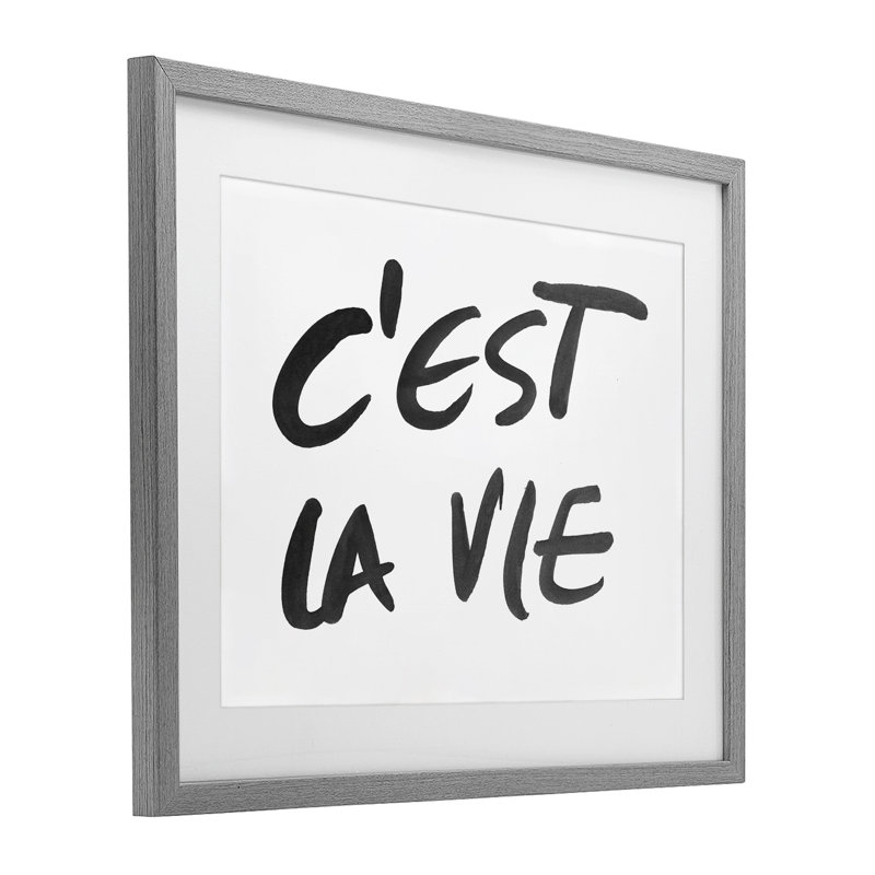 «C'est La Vie», impression encadrée de texte minimal sous verre, conception par SD Graphics Studio, Cadre de ferme gris