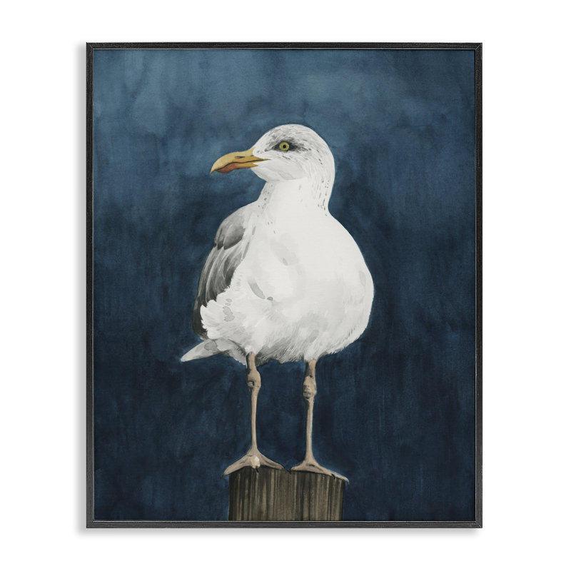 Oiseau côtier perché encadré, estampe numérique par Grace Popp bf-172, H 30 po x l 24 po, Cadre noir