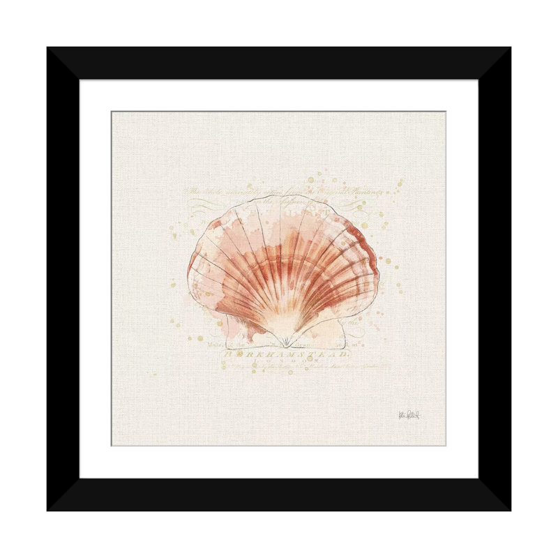 «Shell Collector IV», reproduction d'impression sur toile tendue, H 24 po x l 24 po x P 1 po, Papier d'art encadré noir