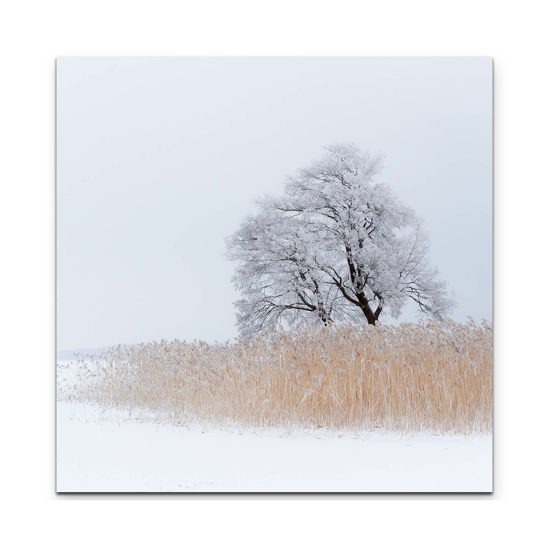 Leinwandbild Einsamer Baum an schneebedeckten See