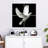 Brampt White Dove-109103269