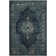 Goetz Oriental Hand Woven Area Rug