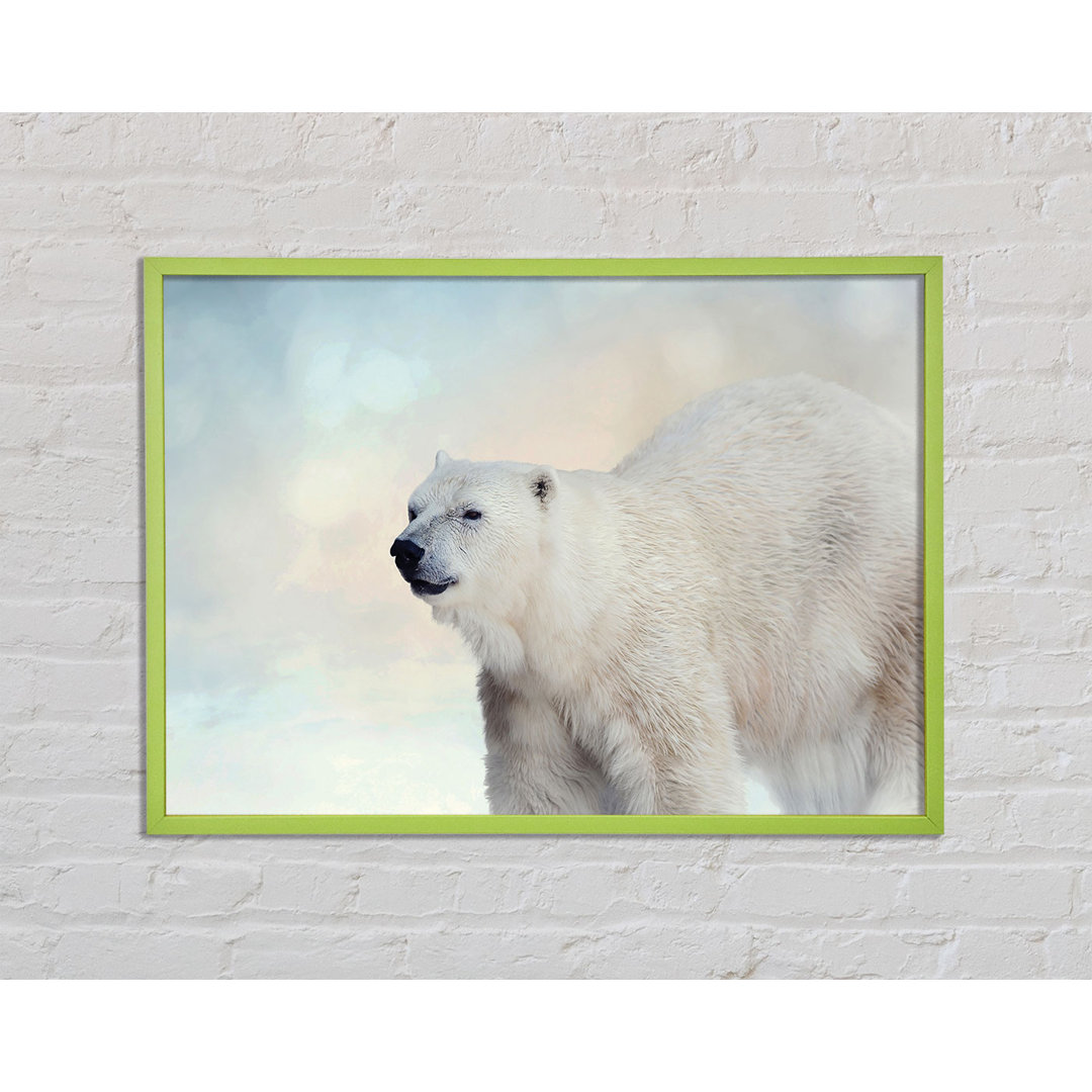 Oradell Polar Bear Wonder - Einzelner Bilderrahmen Kunstdrucke