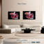 Poisson rouge et blanc Betta-107886578
