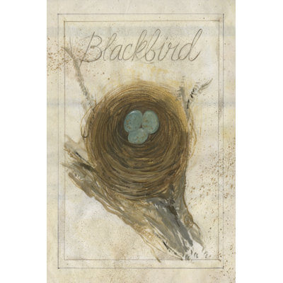 Nest - Blackbird - Wrapped Canvas Print