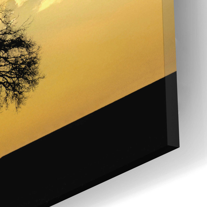 Latitude Run® 'Lone Tree In The Morning Light' By Don Schwartz, Acrylic Glass Wall Art, 24"X12", H 12 po x l 24 po x P 0,2 po