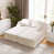 Velours blanc est en rupture de stock