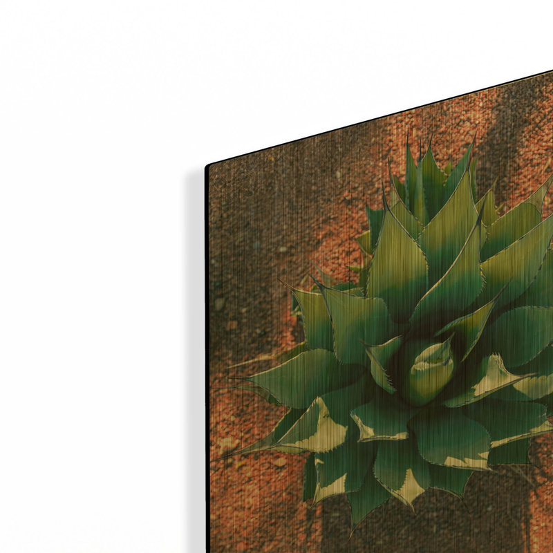 « Utah - Cactus 1 » par AKG, tableau mural en métal doré, 30,5 x 40,5 cm, 12 po x 16 po