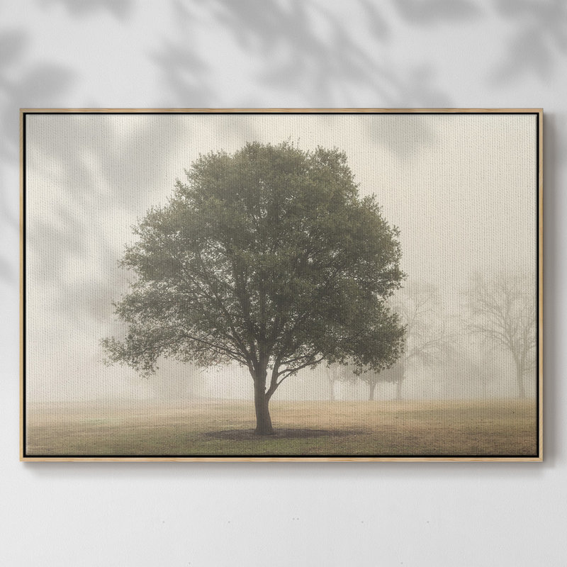 «Trees in the Fog I», reproduction encadrée sur toile, H 27 po x l 41 po x P 2 po, Naturel