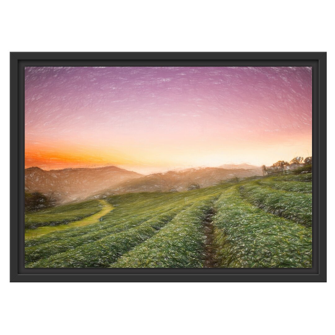 Gerahmtes Wandbild Sonnenaufgang Teeplantage Thailand