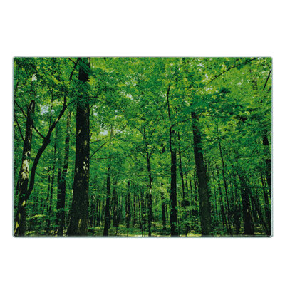 Ambesonne Nature Tempered Glass Cutting Board Woodland Tree Forest Sun Fern Green Seal Brown