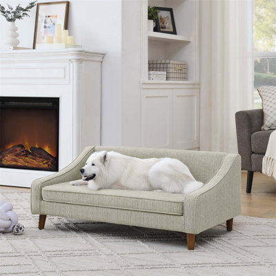 Canapé-lit surélevé durable et confortable avec accoudoirs irréguliers de conception moderne, idéal pour les chiens de taille moyenne et grande