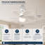 Alisha-Ann 75cm Ceiling Fan with Light Kit-905805416