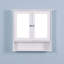 Wall Mounted Bathroom Cabinet With 2 Mirror Doors And Adjustable Shelf, Perfect For Organized Storage And Space Efficiency.