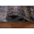 All-Over Blue Abstract Runner Rug 2x10