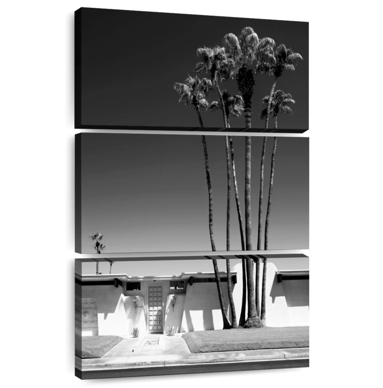 Harnek Black California Palm Springs I, H 32 po x l 20 po