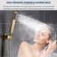 Pennsbury Adjustable Shower Head