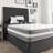 Symple Stuff Foam Mattress-16014997