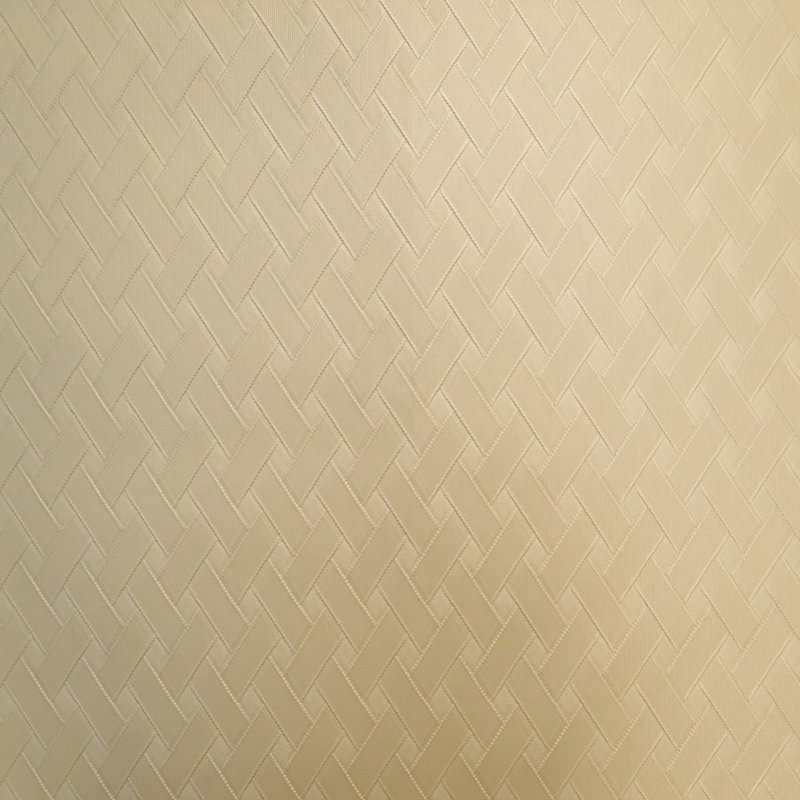 Tissu de colon