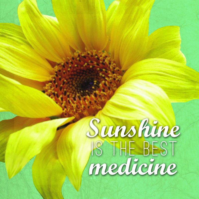 Tournesol et citation, H 12 po x l 12 po