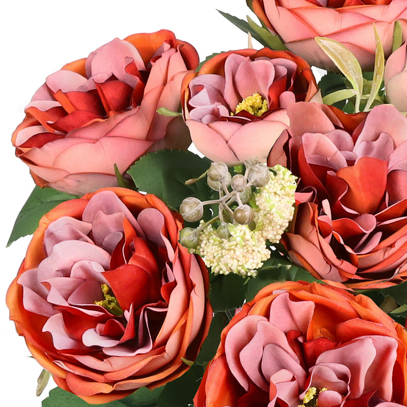 Chou rose, Rouge-orange