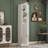 Eliijah Storage Bookcase