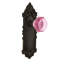 Victorian Plate with Waldorf Pink Door Knob-547950826